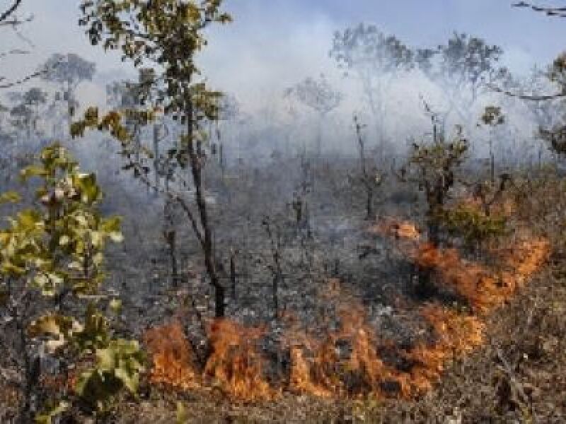 Queimadas Controladas S O Proibidas At Fim De Setembro Em Ms Bonito