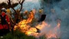 Treinamento de combate ao fogo qualifica novos soldados dos Bombeiros para atuar em incêndios flores