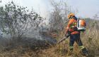 Pantanal de MS tem umidade em 10% e focos ativos em diferentes regiões