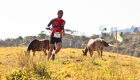 Bonitenses Brilham no Trail Running em Passa Quatro em MG neste final de semana. 