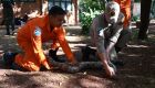 Na luta contra o fogo toda vida importa e Bombeiros aprimoram t&eacute;cnicas para resgate de animais  