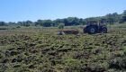 Em maio, Seprodes atendeu 23 pequenos produtores e alcançou 25 hectares trabalhados