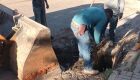 Prefeitura de Bonito intensifica limpeza das bocas de lobo para prevenir alagamentos