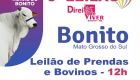 Bonito realiza 6&ordm; Leil&atilde;o Direito de Viver em prol do Hospital de Amor