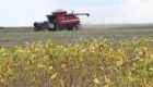 Come&ccedil;a plantio da maior safra de soja de Mato Grosso do Sul, com expectativa de colher 15 milh&otilde;es