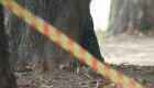 Trabalhador rural morre em ataque de abelhas em Mato Grosso do Sul