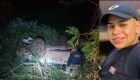 Motorista de 21 anos morre durante capotamento em rodovia de MS
