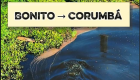 Viagem entre Bonito e Corumb&aacute; pela MS-178 e BR-262 revela a for&ccedil;a do Pantanal