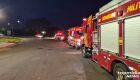 Motorista morre ao atropelar javali em Mato Grosso do Sul
