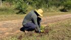 Prefeitura realiza a&ccedil;&atilde;o de arboriza&ccedil;&atilde;o na rodovia de acesso ao Balne&aacute;rio Municipal