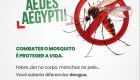 Alerta de sa&uacute;de: popula&ccedil;&atilde;o deve redobrar cuidados contra dengue, zika e chikungunya