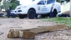 Homem mata gato da vizinha a pauladas e joga animal por cima do muro 