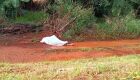 Pol&iacute;cia de Dourados suspeita que homem encontrado em vala morreu de frio 