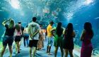 Bioparque Pantanal se prepara para sediar evento nacional de zool&oacute;gicos e aqu&aacute;rios