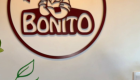 Festival de Inverno transforma centro de Bonito em ponto de encontro no Pastel Bonito