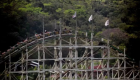 Justi&ccedil;a mant&eacute;m condena&ccedil;&atilde;o de parque ap&oacute;s adolescente perder rim em atra&ccedil;&atilde;o de terror