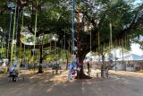Praça da Liberdade ganha cores na 8ª Feira Literário