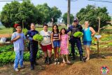 Turma do 4&ordm; ano da Escola Vitalina Vargas Machado uma horta escolar e educação financeira  