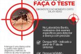 Prevenção e Diagnóstico da Dengue: Tudo o que Você Precisa Saber