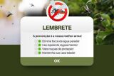 Prefeitura de Bonito faz alerta para prevenir dengue