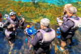 Nascente Azul: Um Mergulho em um Paraíso de Águas Transparentes