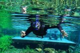 Bonito-MS: Descubra a Beleza e a Sustentabilidade da Nascente Azul