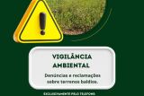 Denúncias e reclamações sobre terrenos baldios devem ser feitas pelo número da Vigilância Ambiental