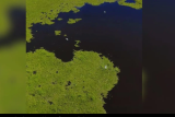 Imagens aéreas mostram pássaros sendo engolidos por imensidão do Pantanal