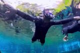 A Flutuação na Nascente Azul é uma experiência inesquecível!