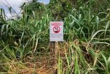 Prefeitura de Bonito instala placas contra o descarte irregular de lixo