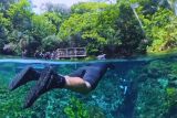 Venha Viver um Contato Singular com a Natureza na Nascente Azul em Bonito - MS