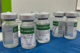 MS lança plano emergencial e investe R$ 825 mil para reforçar vacinação contra influenza