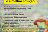 Prefeitura de Bonito orienta população sobre prevenção contra escorpiões