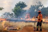 Bombeiros de MS se preparam para temporada de inc&ecirc;ndios florestais com treinamentos e a&ccedil;&otilde;es em campo