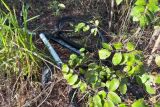 ROMU localiza bicicleta em &aacute;rea de mata com ajuda da popula&ccedil;&atilde;o 