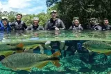 Bonito: O que saber e se perguntar antes de planejar a sua viagem?