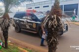 Mulher n&atilde;o aceita fim de relacionamento e passa a perseguir ex-namorado 