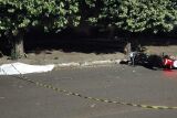Motociclista bate em &aacute;rvore e morre em MS