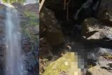 Pol&iacute;cia investiga identidade de homem achado morto e com m&atilde;os amarradas no Inferninho