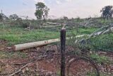 Trabalhador morre ao levar choque em cerca energizada por fio de alta tens&atilde;o 