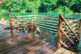 Atividades para crian&ccedil;as: divers&atilde;o para toda a fam&iacute;lia no Eco Park Porto da Ilha