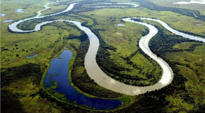 Lei sancionada pelo governador define 12 de novembro como Dia do Pantanal