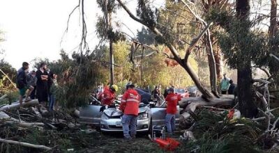 Miraci Fernandes, de 37 anos, estava em veículo atingido por eucalipto durante ciclone bomba Foto: Reprodução