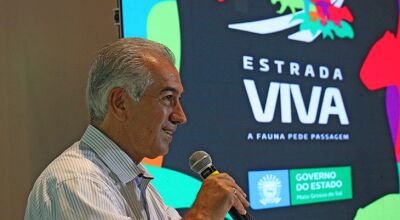 ESTRADA VIVA