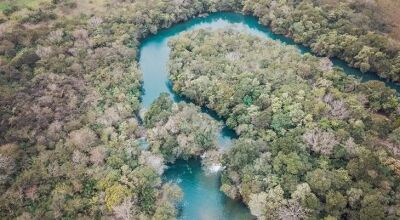 BONITO E JARDIM