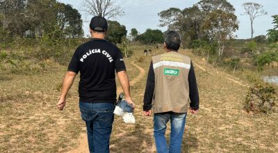 Polícia Civil e Iagro realizam ação conjunta contra maus-tratos de bovinos