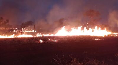 Força-tarefa se une para combater fogo em área de 5 fazendas em MS