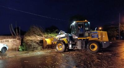 Prefeitura de Bonito realizou mutirão para retirar galhos e árvores que desabaram com temporal