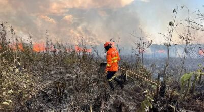 Incêndio de 04 dias destruiu 500 hectares de vegetação em área ao lado de rio cristalino em Bonito