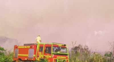 Com treinamento e tecnologia, atuação dos bombeiros é destaque no combate a incêndios florestais